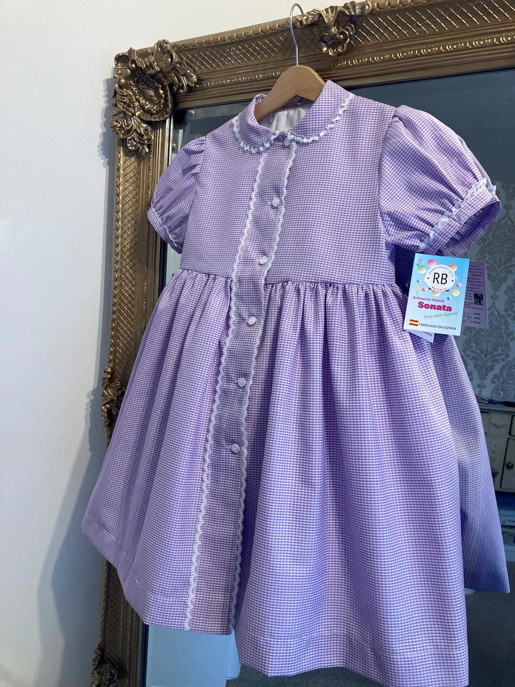 RB Aria gingham dress