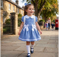 RB gingham big collar
