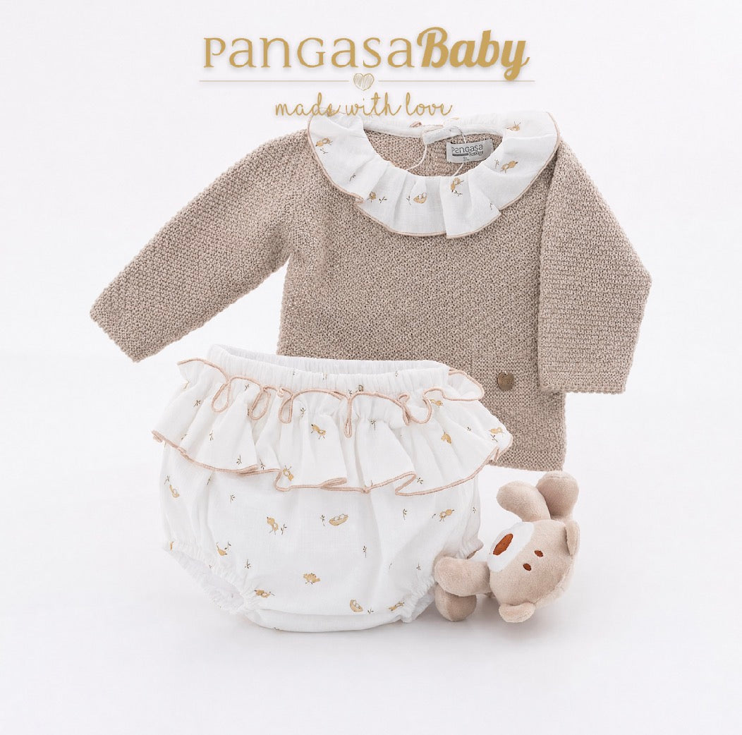 Pangasa Winter 26/27
