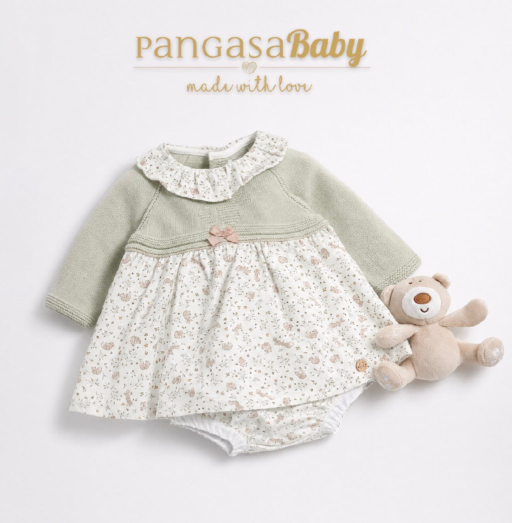 Pangasa Winter 26/27